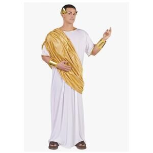 Fun World Hail Caesar Ancient Rome TOGA Robe Halloween Costume Men's XL New!